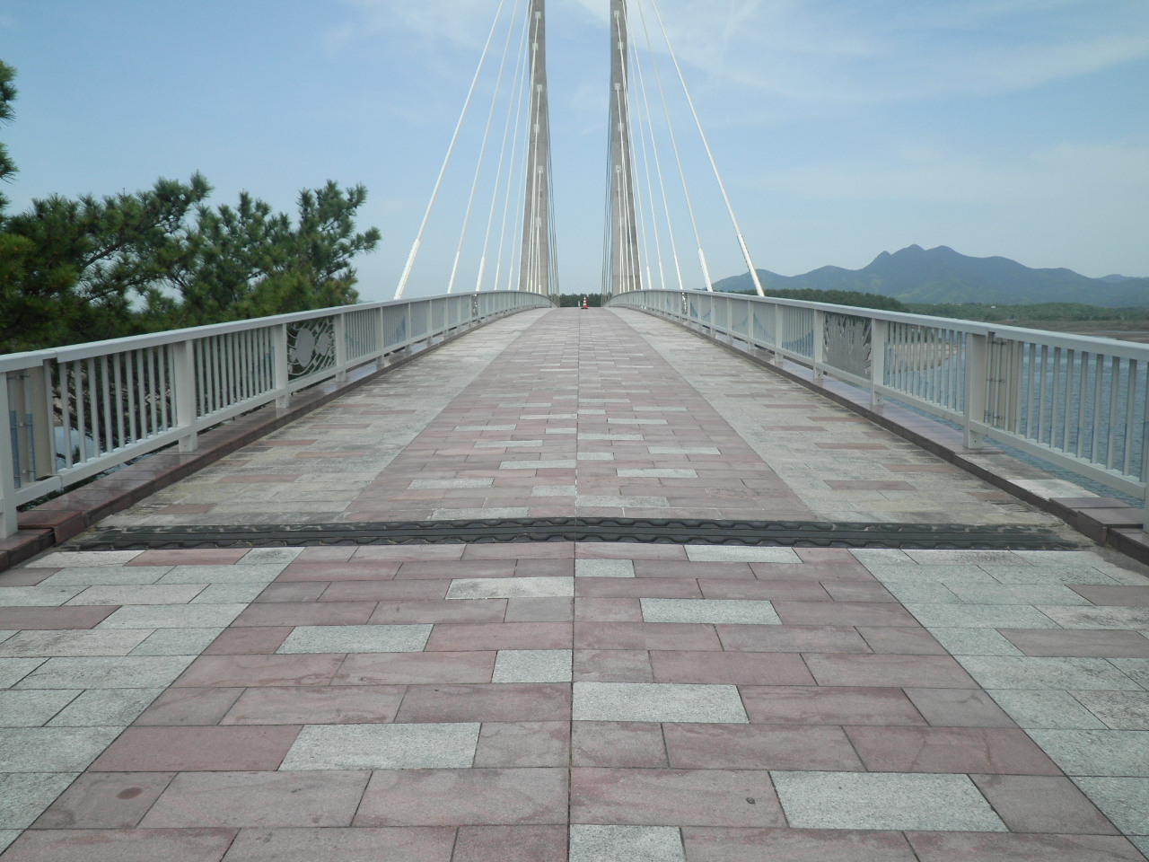 【南薩地域】平成30年度～８月完成　道路補修（交付金）橋梁工事（サンセットブリッジ2工区）